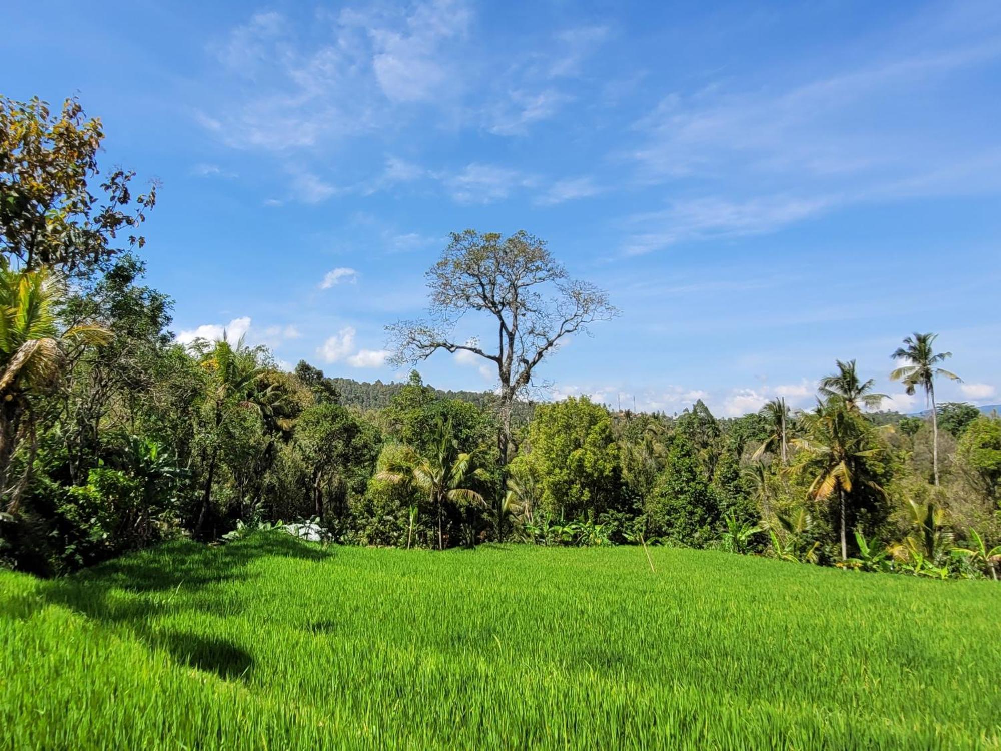 شقة Umah Yugadi Bali موندوغْ المظهر الخارجي الصورة