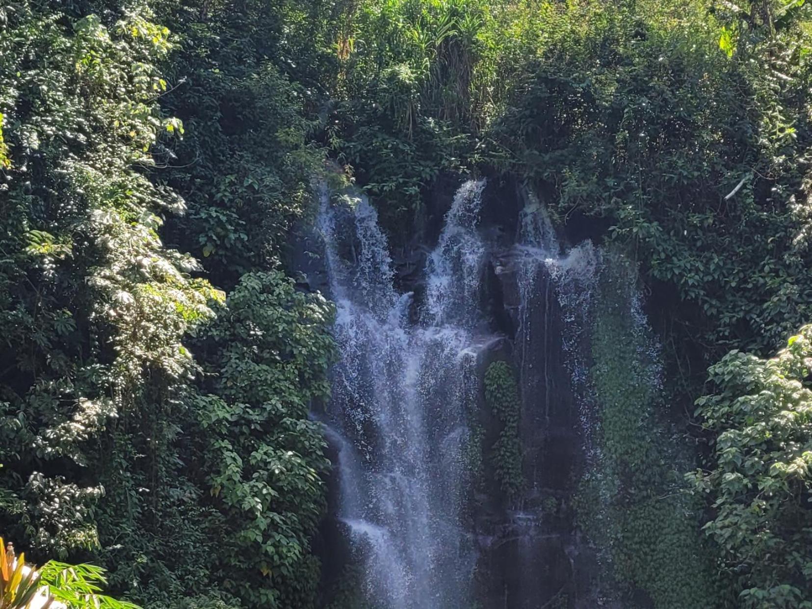 شقة Umah Yugadi Bali موندوغْ المظهر الخارجي الصورة
